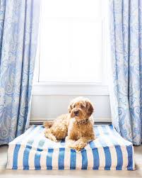 Dog Friendly Rooms